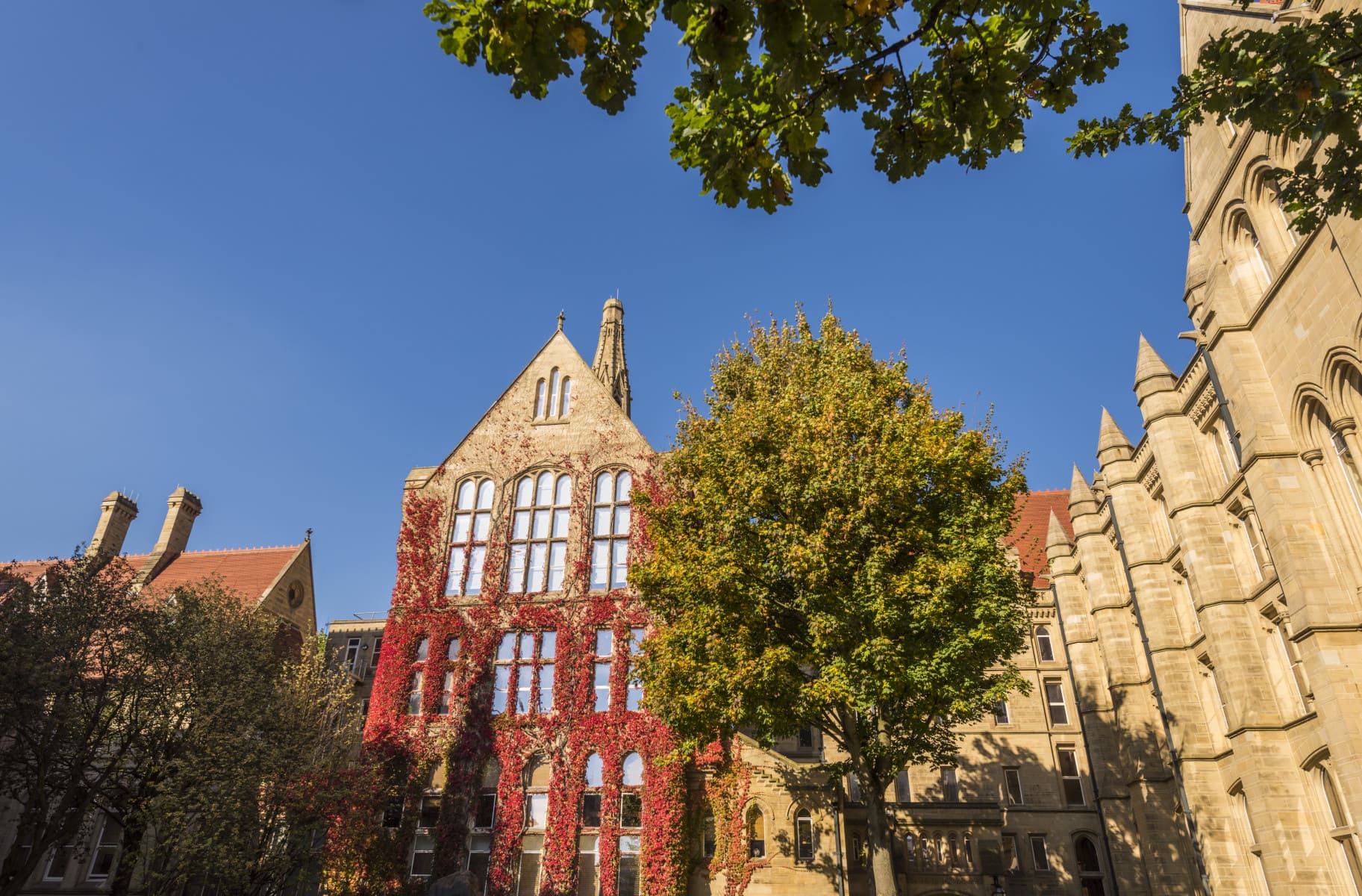 Tips Jitu Lolos & Menghemat Biaya di The University of Manchester