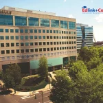 Hult International Business School