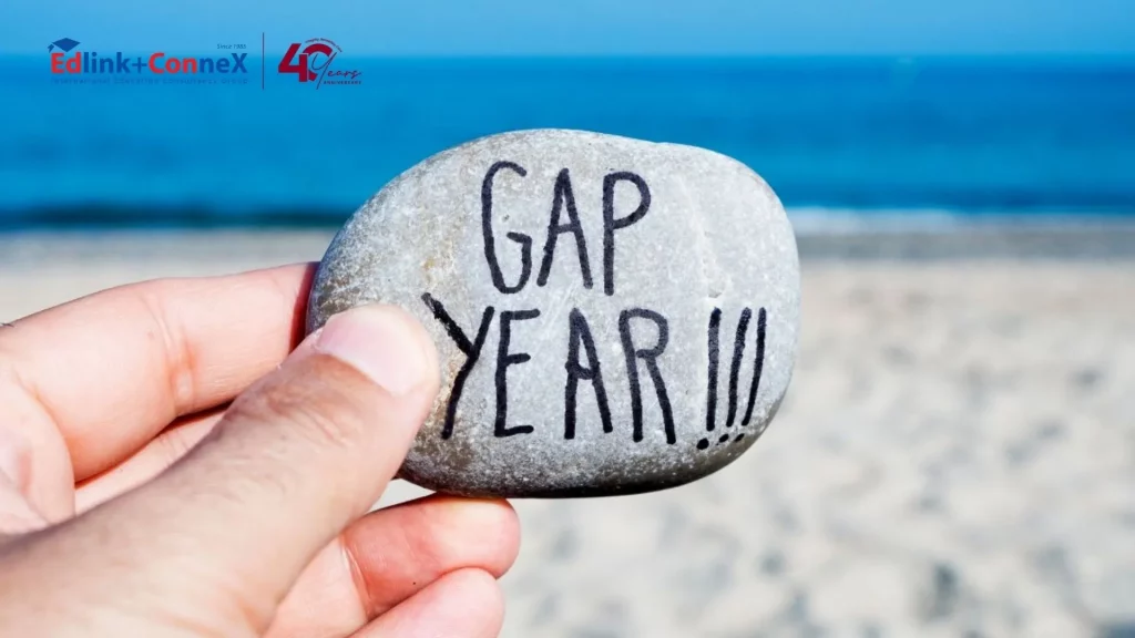 istilah gap year