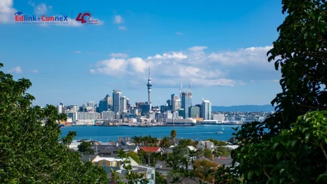 Study in Auckland